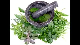 Basic Plants That Can Change Your Life In An Amazing Way! Special Guest!