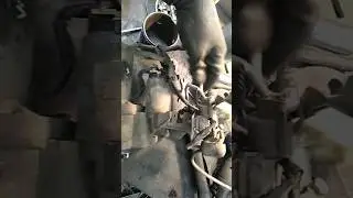 А ты видел такое?