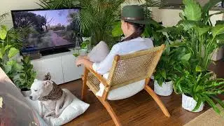 The Africa Experience... At Home!