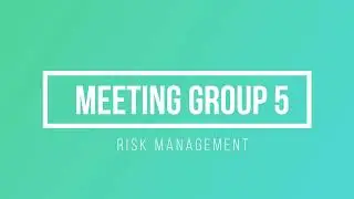 Meeting Group 5: Risk Management