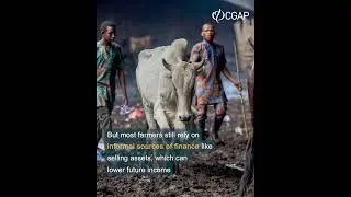 Facing Climate Events in Nigeria, Farmers Left With Scarce Options
