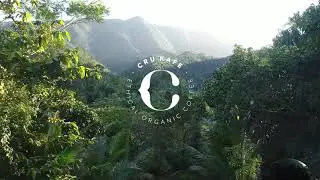 Brand Video | CRU Kafe 2021