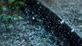 Copyright Free Rain Sound Effect | Ambient Sounds