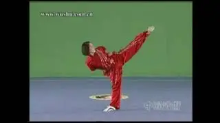 wushu elementary routine