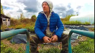 Мы не увидим ПАРАД ПОБЕДЫ. В России отключают интернет. Поздравления