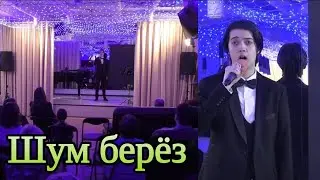 "Шум берёз"