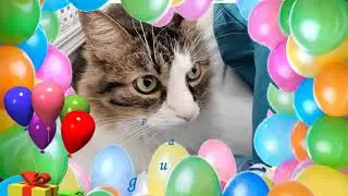 Lolito 10 cumpleaños