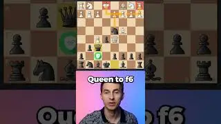 Punish Scholar's Mate By TRAPPING Their Queen
