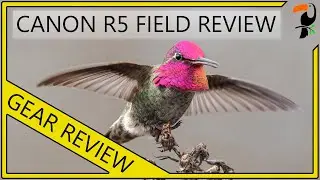 Canon R5: Bird Photography Field Review