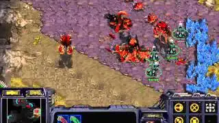 StarCraft Brood War [FPVOD] Strelok Неприятный дисконнект TvZ