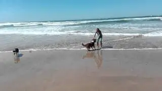 VID 20150918 133246