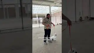 СОБАКА БРОСАЕТСЯ НА ЛЮДЕЙ! Как УБРАТЬ АГРЕССИЮ у СОБАКИ? 