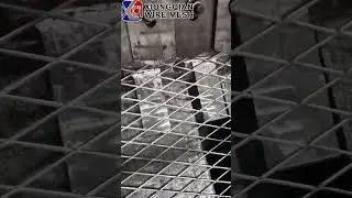 Decorative architectural aluminium suspended ceiling expanded wire mesh #factory#shorts #wiremesh