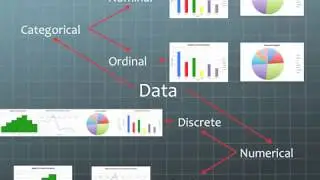 Types of Data: Categorical and Numerical