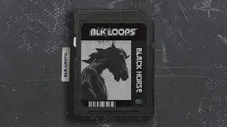 [FREE] GUNNA LOOP KIT / SAMPLE PACK - “ Black Horse 