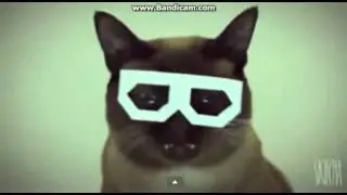 кот РЭпер__