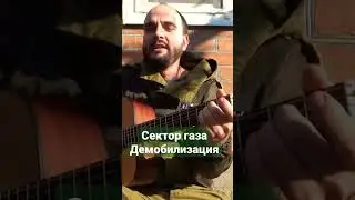 Сектор Газа - Демобилизация