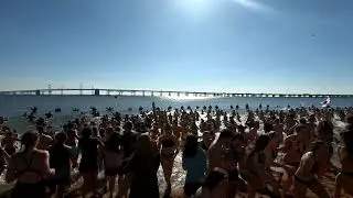 2018 Plunge: Cool Schools Plunge Beach