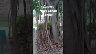 #европа#испания#отпуск#природа#юмор
