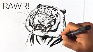 Tiger Drawing in Under 5 Minutes