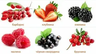 Марусяс. Marusyas. Английский с малышами. ягоды. карточки английских слов. berries english.