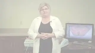 PELVIC Mentor - Anatomy and Pelvic Exam Simulation at Ashland University
