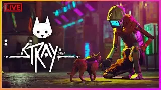 КОТЭ ПРОДОЛЖАЕТ ПУТЕШЕСТВИЕ | STRAY ФИНАЛ