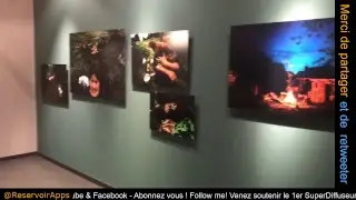 #Fotofever