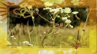 Елена Гудкова - СОЛНЫШКО