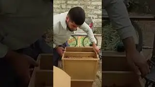 Гузал оханг...