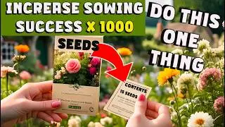 START NOW (JULY ONWARDS) increase your SUCCESS & SAVE money when sowing your seeds.