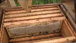 С МАЙСКИМ ПРОЛЕТЕЛИ НА ИЮНЬСКИЙ НАЛЕТЕЛИ.