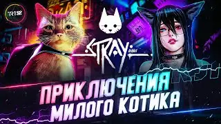 СЕГОДНЯ Я БРОДЯЧИЙ КОТ • STRAY #2