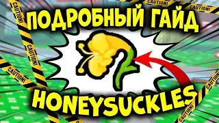 HONEYSUCKLE ПОДРОБНЫЙ ГАЙД в симуляторе пчеловода! bee swarm simulator!