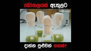 ගහක වටිනාකම දන්න මිනිස්සු..