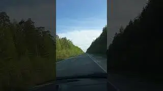 А горький вкус твоей любви...
