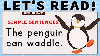 LET'S READ! | PRACTICE READING ENGLISH | SIMPLE SENTENCES FOR KIDS | LEARN TO READ | TEACHING MAMA