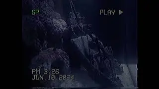 Aquarium jakarta (Vhs)