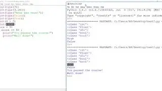 Bool data type and Selection if statement