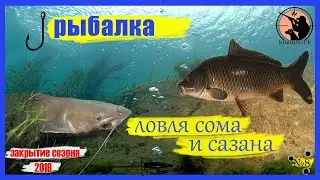 Ловля сома и сазана. Закрытие сезона 2019