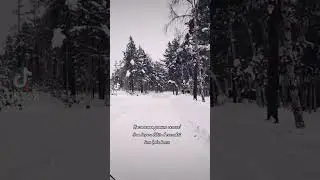 1 января 2024 г.