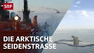 Die Arktische Seidenstrasse | Globale Themen erklärt | 