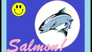 Salmon!!!
