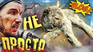 😱 Не простой окот. \\ Рассадил коз, новая калитка. \\ Влог.