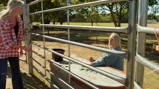 Sydney Groom tries bull nuts for the first time. Farmer wants a wife.