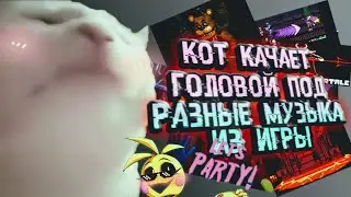 Кот качает головой |Под Разные Музыка из Игры
