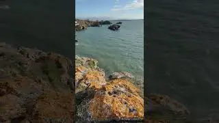 дикие бухты на Азовском море