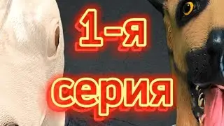 Один день собачьей жизни. 1 серия