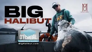 O'Fish'ial Charters of Alaska | BIG HALIBUT
