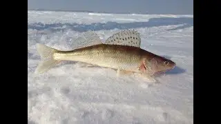 FISHING ON THE RIVER IN NOVOSIBIRSK 24,02,2018
